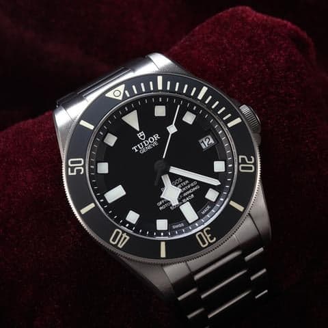 Tudor Pelagos 25600TN
